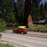 Sequoia National Park