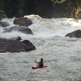 Misahualli, Giorgio Codeluppi