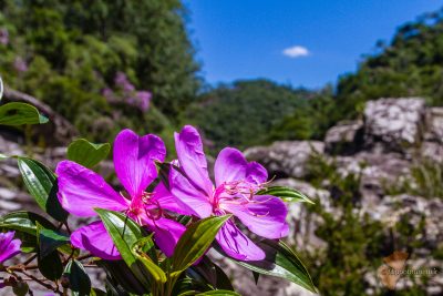 Brasile_2017_14