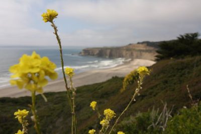 Costa del Pacifico