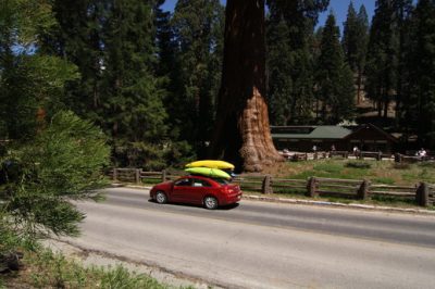 Sequoia National Park