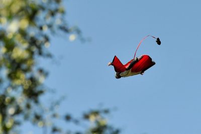 foto:Jan Helge Fossa, Base jumping