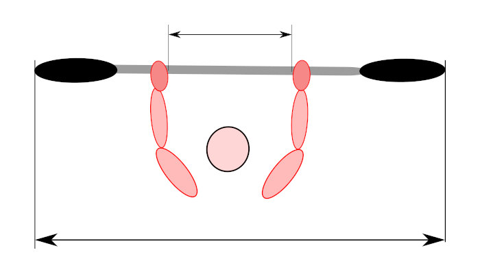 paddle length calculator