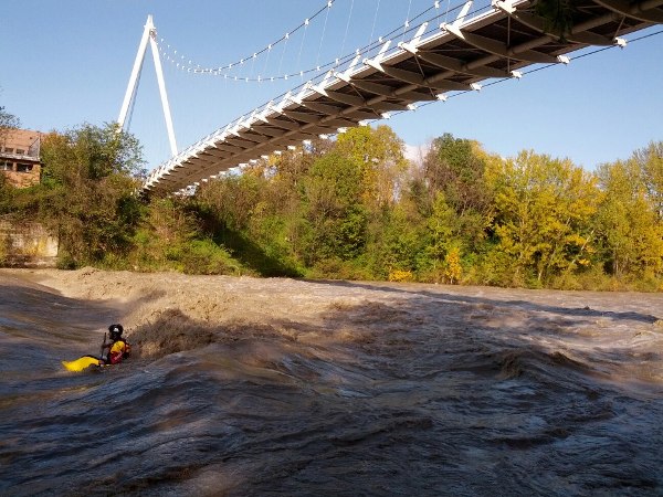 freestyle wave in casalecchio